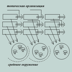     / /  / 5/       /      -     .  -   () ,    ""  .  -   () ,    ""  .  ,   ,  ,  .     -,  - -,      ,  -   - .