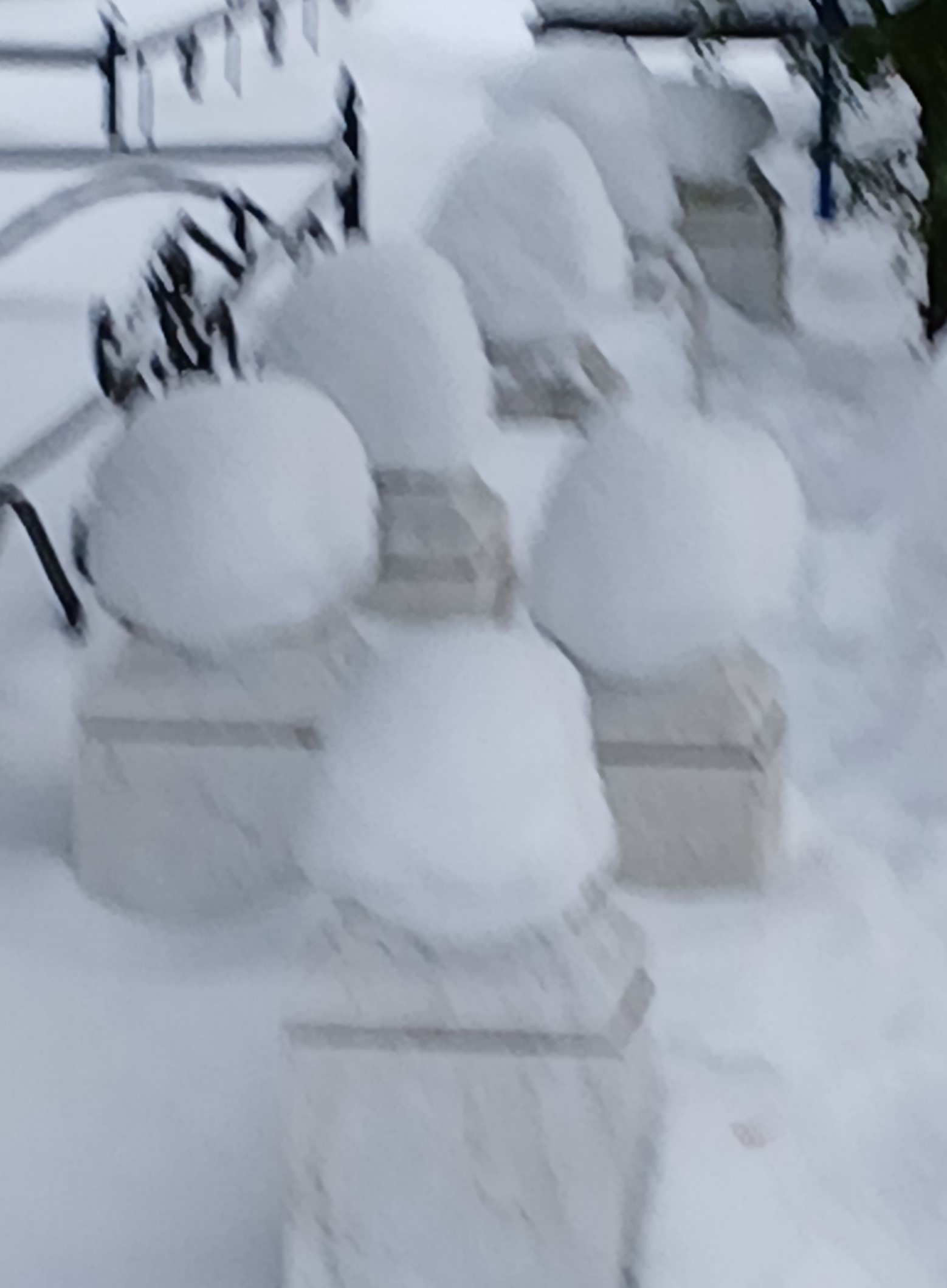 ��� ����� ���������� �������� ������� �����